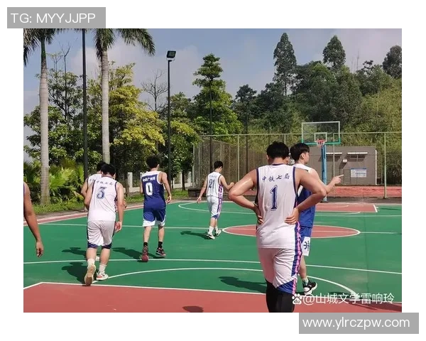 情篮球：在激情与梦想交织的赛场上书写青春的篇章